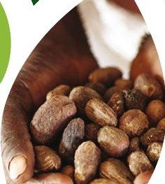 Produits karité